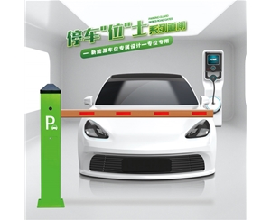 冠县RG-CW系列车位小道闸